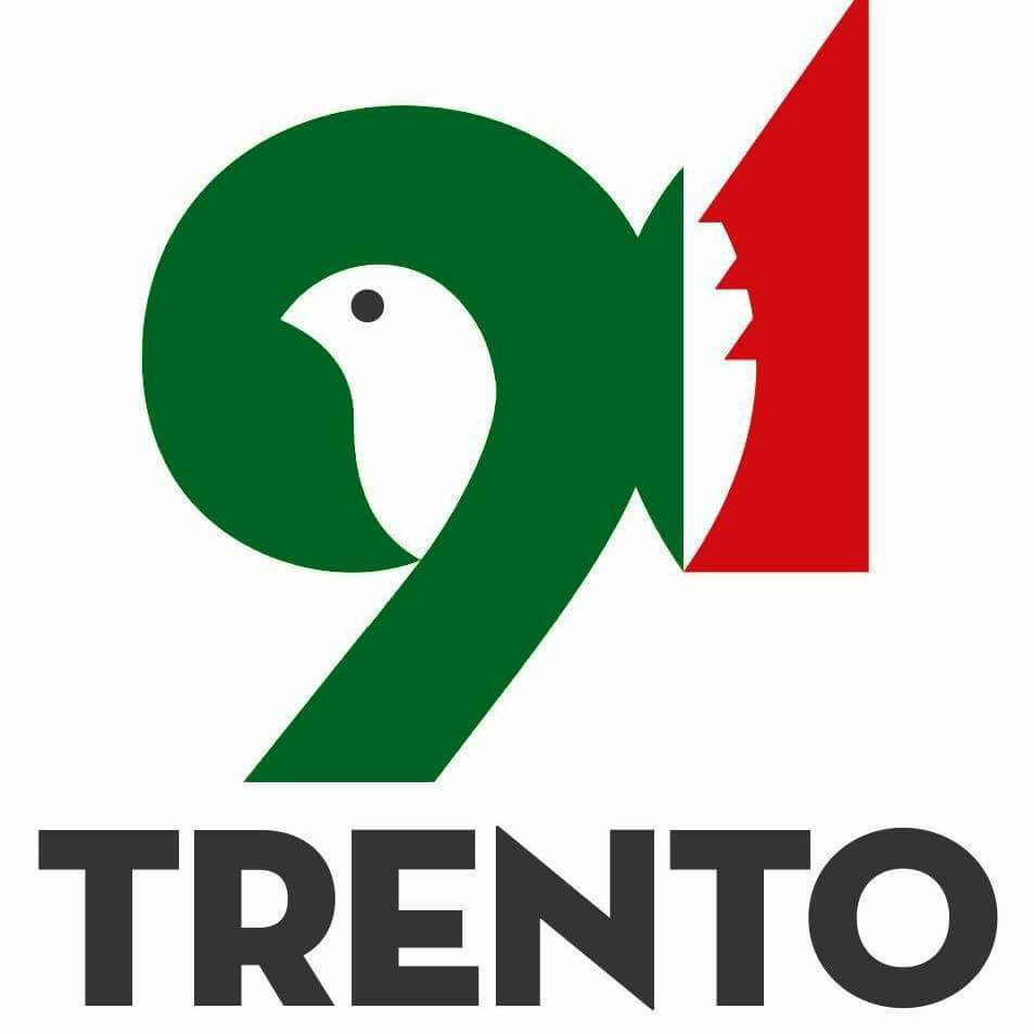Logo Adunata Nazionale Alpini 2018 - Trento